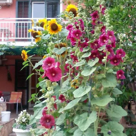 With Parking Space Orebic, Peljesac - 15086 Apartment *