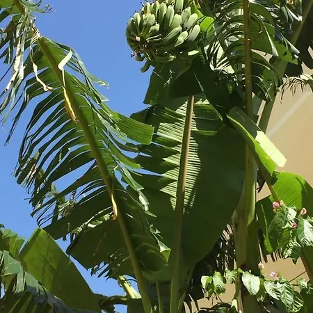 With Parking Space Orebic, Peljesac - 15086 Orebić