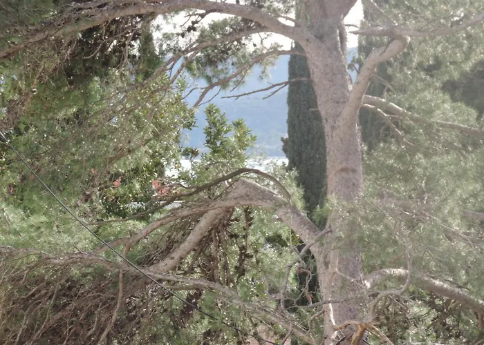 With Parking Space Orebic, Peljesac - 15086 Lejlighed *