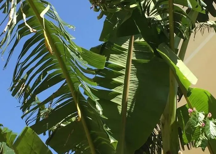 With Parking Space Orebic, Peljesac - 15086 Orebić