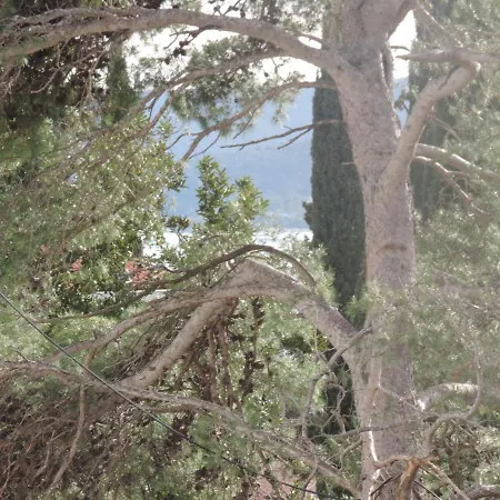 With Parking Space Orebic, Peljesac - 15086 公寓 *