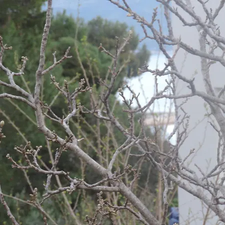 With Parking Space Orebic, Peljesac - 15086 公寓 奥瑞比克