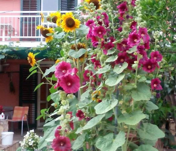 With Parking Space Orebic, Peljesac - 15086 Daire *