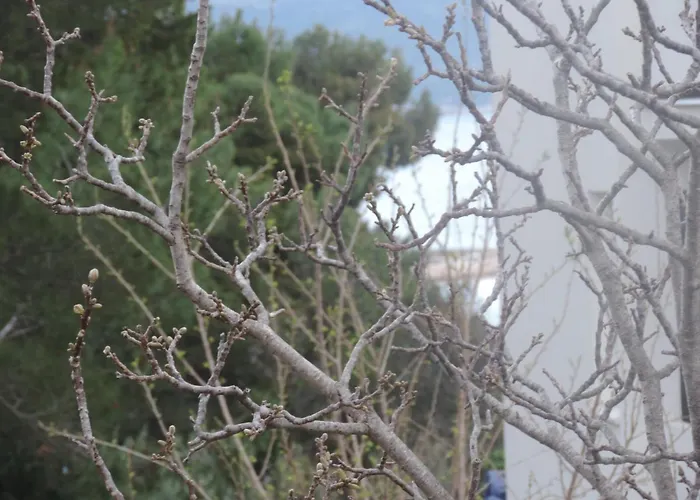 With Parking Space Orebic, Peljesac - 15086 شقة أوروبيتش